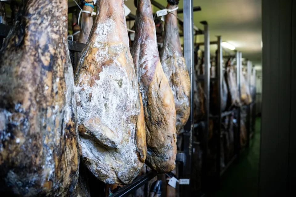 Jambons ibériques suspendus dans le séchoir