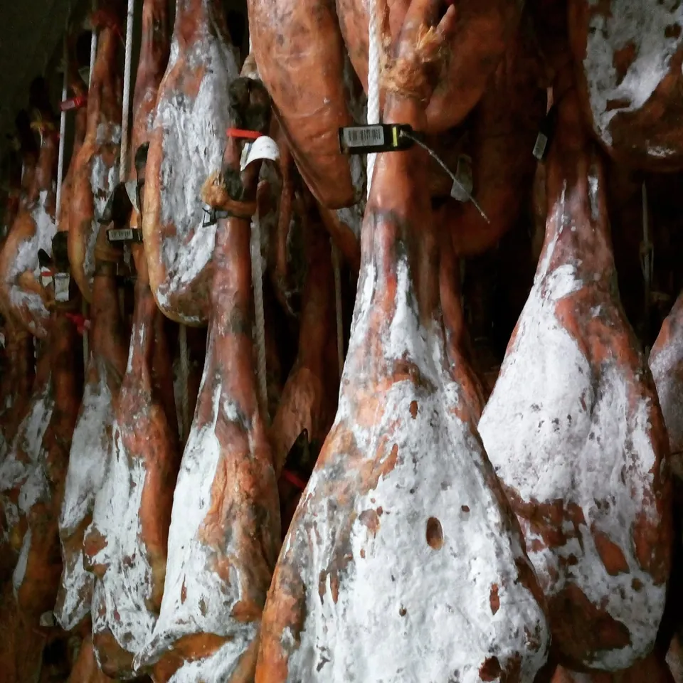 Jambons ibériques en cours d’affinage dans la cave